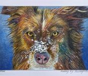 Audry |  80 x 20